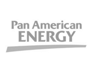 Pan American Energy LLC