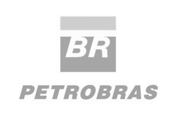 Petrobras Argentina S.A.