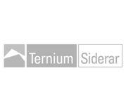 Ternium Siderar